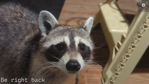 Ryan aka KeylimeRy online show from February 2025 05:53:02 PM