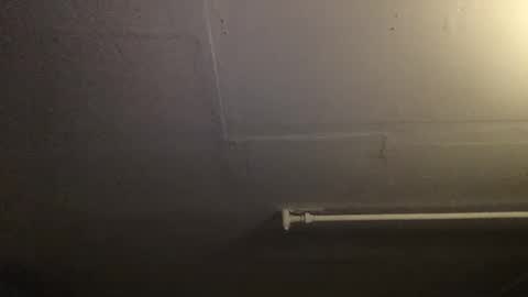 Snapshot of roastingcorn chatting on December 2024 11:11:02 AM RoastingCorn online show from December 2024 11:11:02 AM