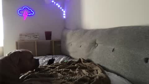 Snapshot of roastingcorn chatting on January 2025 10:29:02 PM RoastingCorn online show from January 2025 10:29:02 PM