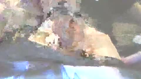 robertharley online show from December 2025 11:04:01 AM