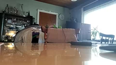 robke1966 online show from January 2025 11:56:01 AM