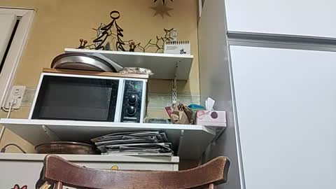 Snapshot of robke1966 chatting on December 2025 07:06:01 AM robke1966 online show from December 2025 07:06:01 AM