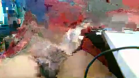 Snapshot of rocco1962 chatting on March 2026 01:13:02 PM Rocco aka DaddyRoc online show from March 2026 01:13:02 PM