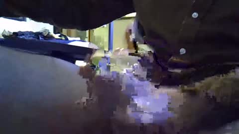 Snapshot of rocco981980 chatting on January 2025 12:06:02 AM rocco981980 online show from January 2025 12:06:02 AM