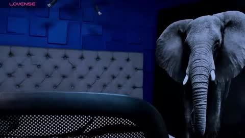 rocco_santos online show from September 2025 02:00:02 AM