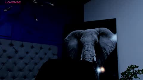 rocco_santos online show from September 2025 08:27:01 AM