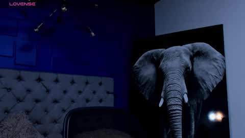 rocco_santos online show from September 2025 07:21:01 AM