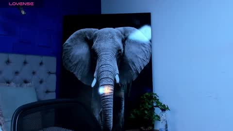 rocco_santos online show from September 2025 03:12:01 AM