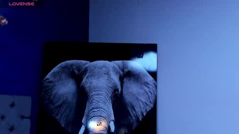 rocco_santos online show from October 2025 01:14:02 AM