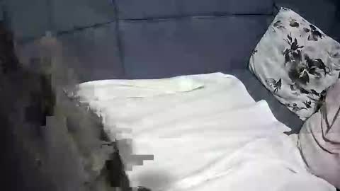 Snapshot of roccosan chatting on October 2025 06:17:02 PM roccosan online show from October 2025 06:17:02 PM