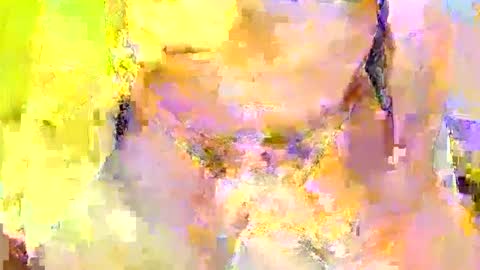 Rod online show from October 2025 07:44:02 PM