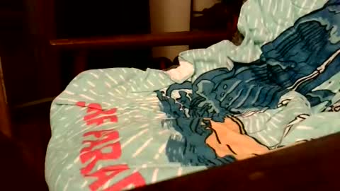 Snapshot of rogerrush chatting on November 2025 10:56:02 AM rogerrush online show from November 2025 10:56:02 AM