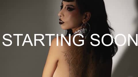 Ally online show from March 2026 08:15:01 PM