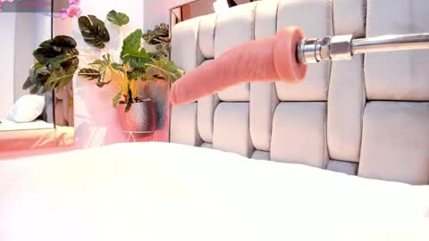 Rose online show from September 2025 05:13:01 AM