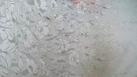 rosia online show from November 2025 08:55:01 AM