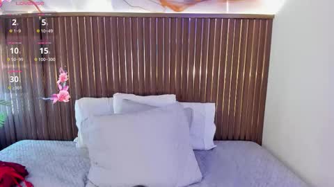 Snapshot of roxie_ns chatting on February 2026 12:11:01 PM Roxie online show from February 2026 12:11:01 PM