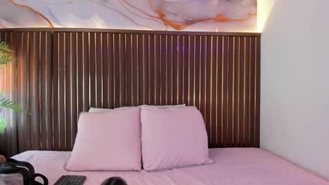 Snapshot of roxie_ns chatting on February 2026 12:05:02 PM Roxie online show from February 2026 12:05:02 PM