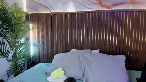 Snapshot of roxie_ns chatting on February 2026 11:44:02 AM Roxie online show from February 2026 11:44:02 AM