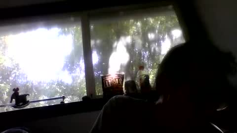 Snapshot of royboy2561 chatting on May 2026 11:23:01 PM Roy Murrin online show from May 2026 11:23:01 PM