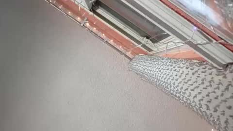 rraineonme online show from January 2026 10:09:02 AM