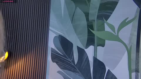 Snapshot of rubyvalen chatting on December 2024 01:29:01 AM Ruby online show from December 2024 01:29:01 AM