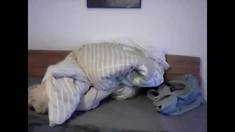 rudolf28 online show from April 2026 11:44:02 AM