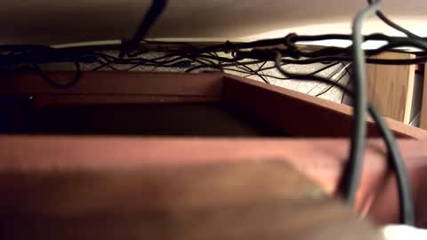 Snapshot of russelnash1900 chatting on December 2024 10:12:01 PM Russel Nash online show from December 2024 10:12:01 PM