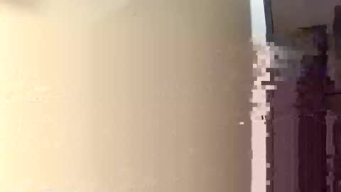 Ryland online show from November 2025 10:53:02 PM