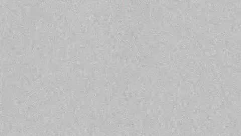 Snapshot of s_u_n_r_i_s_e_e chatting on October 2025 03:59:02 AM Leslie Beltrn online show from October 2025 03:59:02 AM