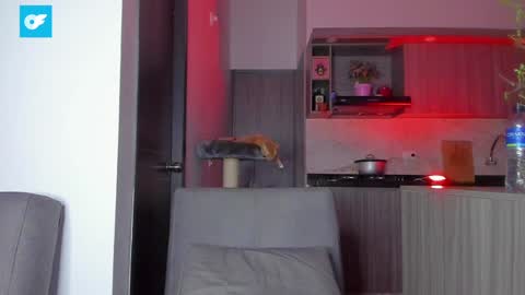 Snapshot of sag_1998 chatting on January 2025 12:54:02 AM Sag online show from January 2025 12:54:02 AM