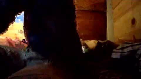 Penoso online show from December 2025 10:09:01 AM