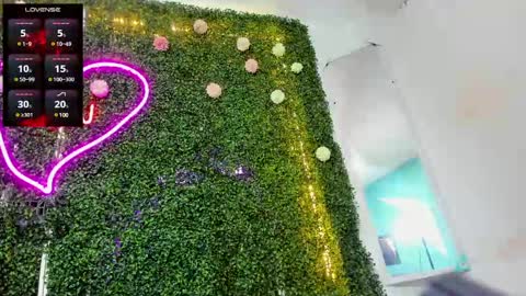 Snapshot of salome_domi chatting on December 2024 10:20:02 PM salome online show from December 2024 10:20:02 PM