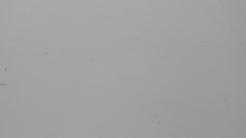 SALVATORE online show from February 2025 11:23:01 AM