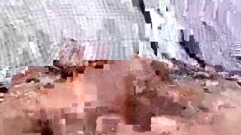 sam223382879 online show from January 2025 08:29:01 AM