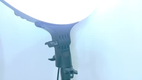   online show from November 2025 12:00:02 PM