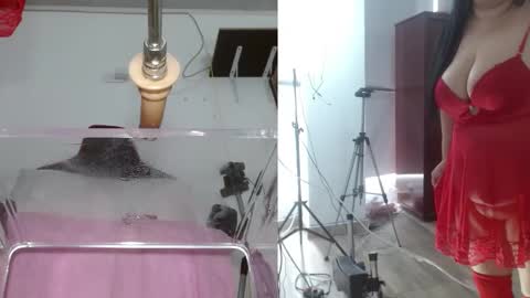 Snapshot of sammyevanss__ chatting on February 2025 06:51:01 PM SAMMY online show from February 2025 06:51:01 PM