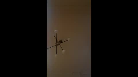 samourais online show from June 2026 09:53:01 AM