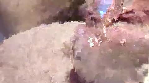 sappyhaha online show from November 2025 11:21:01 AM