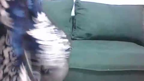 Snapshot of sarah_haggai chatting on November 2025 04:11:02 AM sarah_haggai online show from November 2025 04:11:02 AM