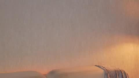       online show from March 2026 11:32:02 PM