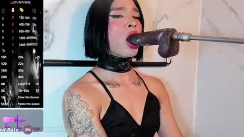    online show from July 2026 11:07:02 PM
