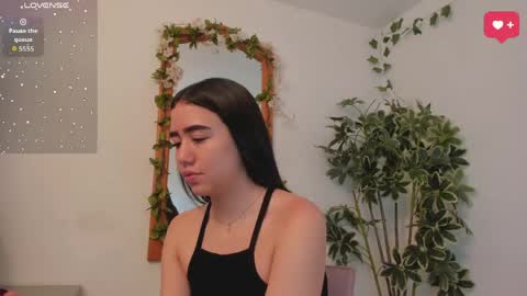      online show from May 2026 12:41:02 AM