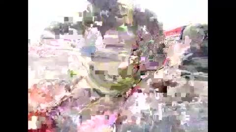 Cedar online show from March 2025 07:36:01 AM