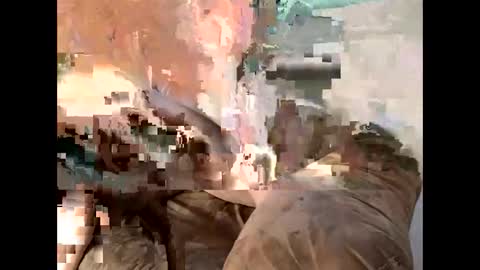 Cedar online show from March 2025 11:27:01 PM