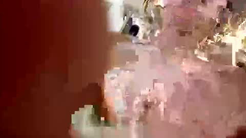 Snapshot of sassysquirtsmmm chatting on December 2025 05:36:02 AM sassysquirtsmmm online show from December 2025 05:36:02 AM