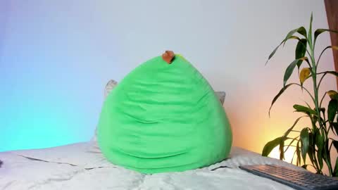     online show from November 2025 08:35:01 AM