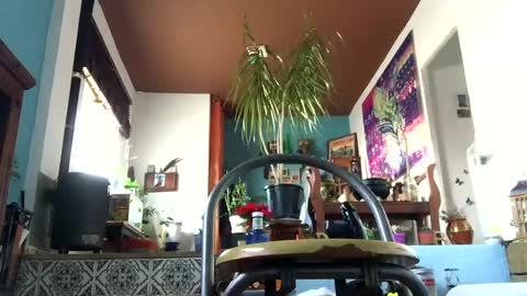 Snapshot of satur850 chatting on December 2024 09:17:01 AM satur850 online show from December 2024 09:17:01 AM