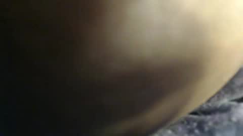 Snapshot of sauce_pety chatting on February 2026 07:41:02 PM pety online show from February 2026 07:41:02 PM