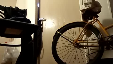 SnowBunny online show from January 2025 10:58:02 AM