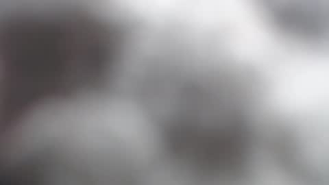 Snapshot of savagebarbie01 chatting on November 2025 10:06:02 AM savagebarbie01 online show from November 2025 10:06:02 AM